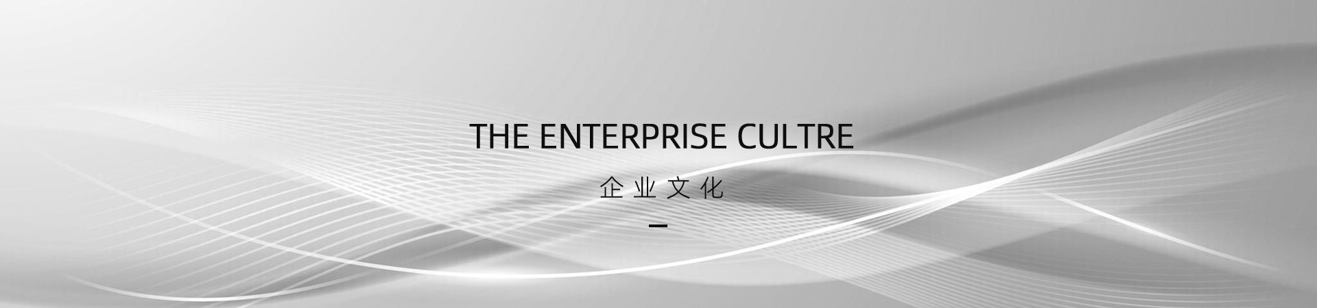 企业文化